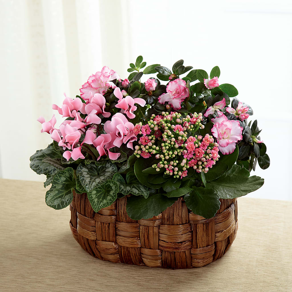 Pink Assortment – Katarina Floral, Hackettstown NJ