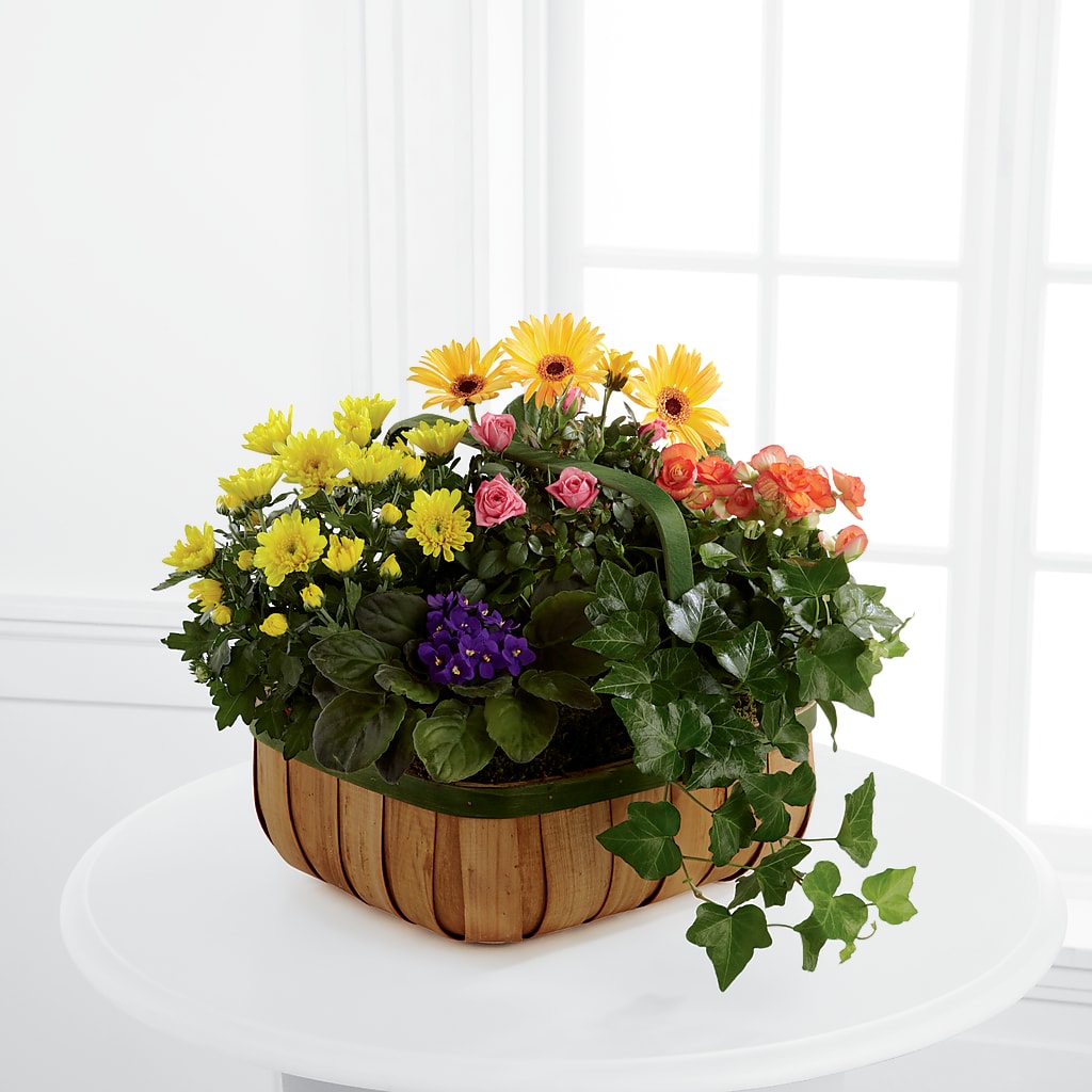 Gentle Blossoms Basket – Katarina Floral, Hackettstown NJ