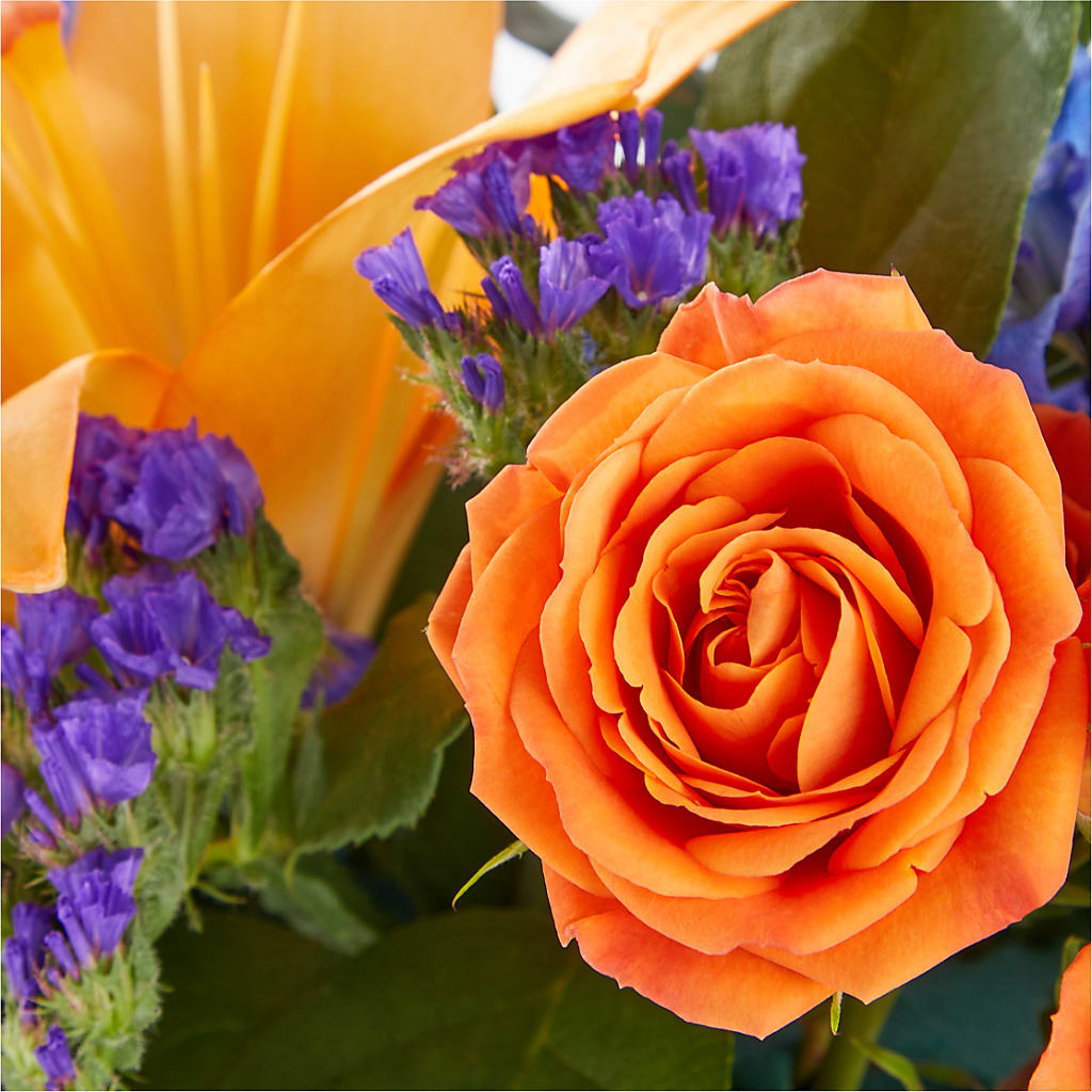 Radiant Citrus Box Bouquet – Katarina Floral, Hackettstown NJ