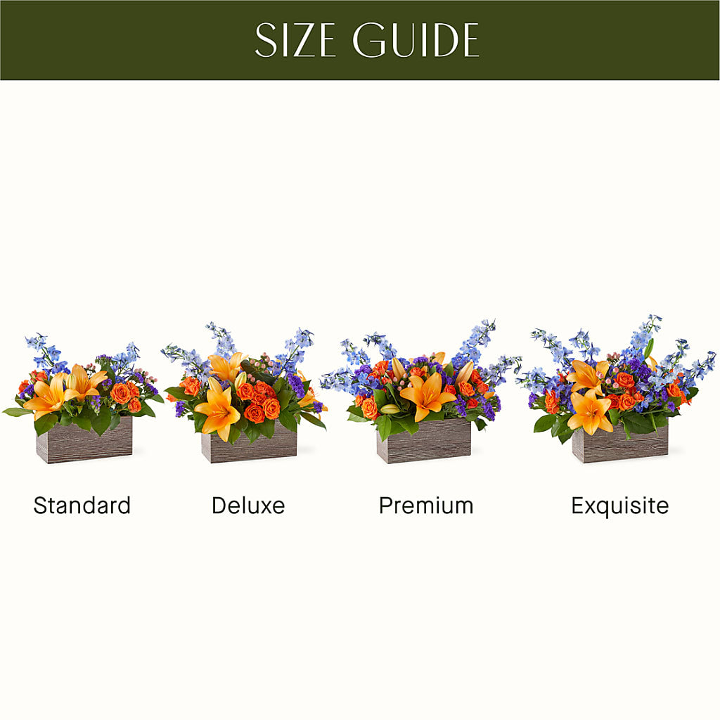 Radiant Citrus Box Bouquet – Katarina Floral, Hackettstown NJ