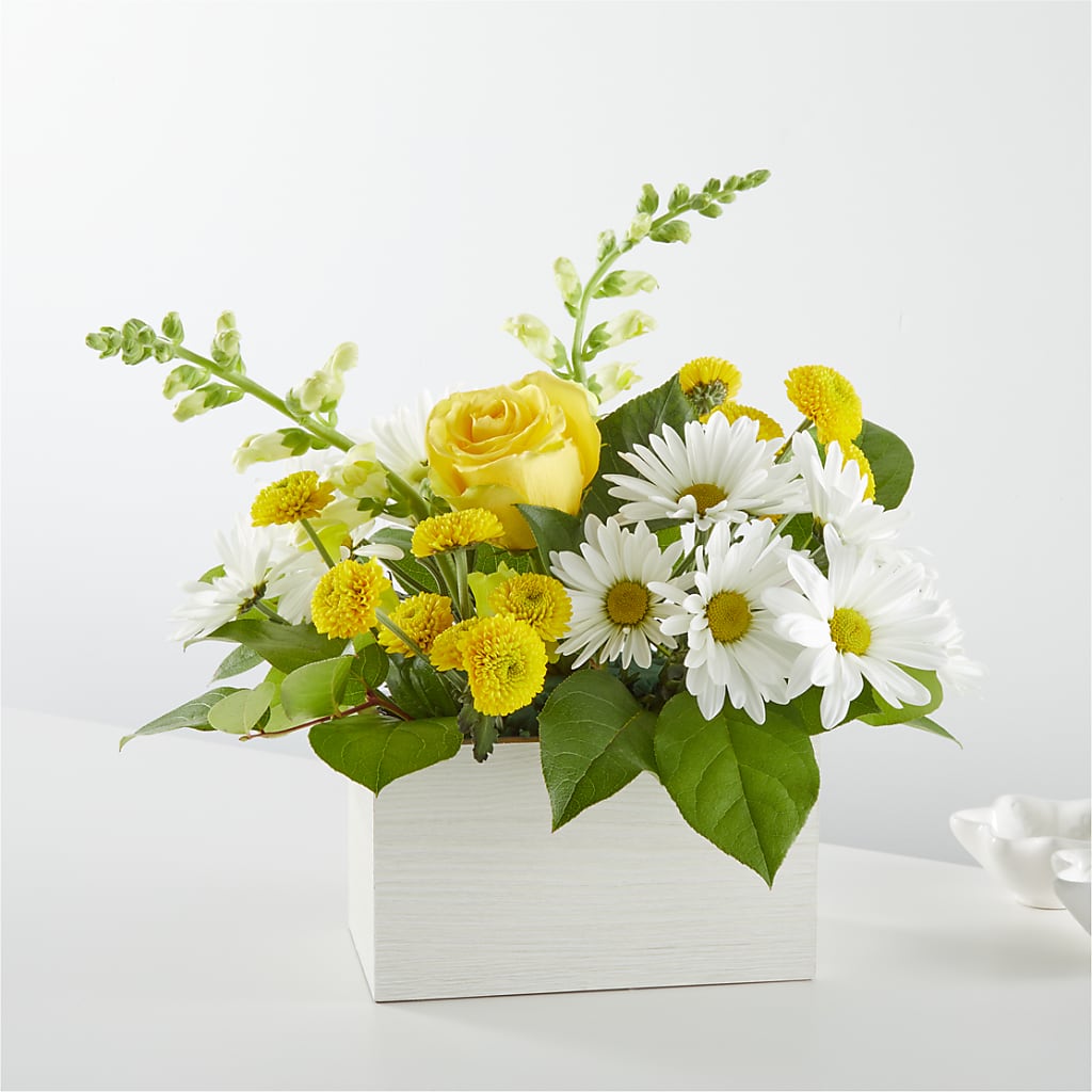 Sun Salutation Box Bouquet – Katarina Floral, Hackettstown NJ