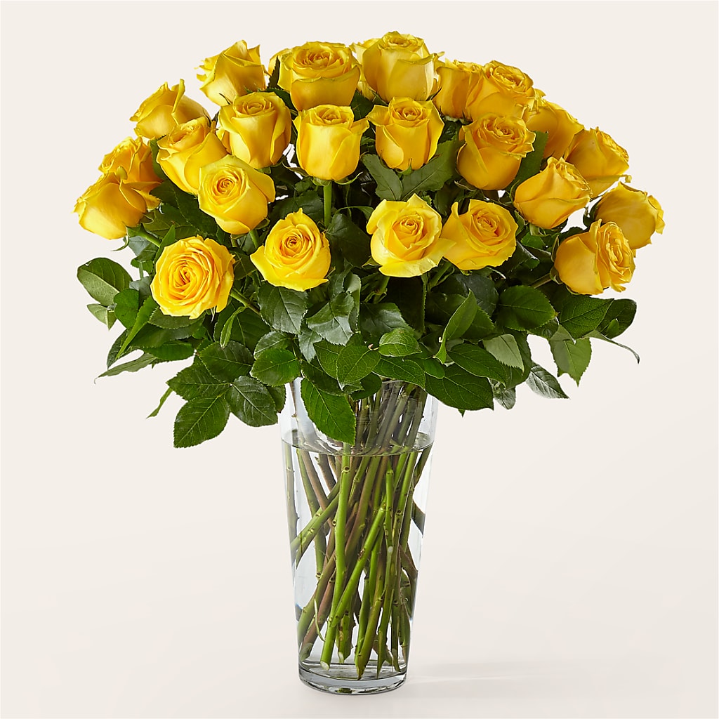 Long Stem Yellow Rose Bouquet – Katarina Floral, Hackettstown NJ