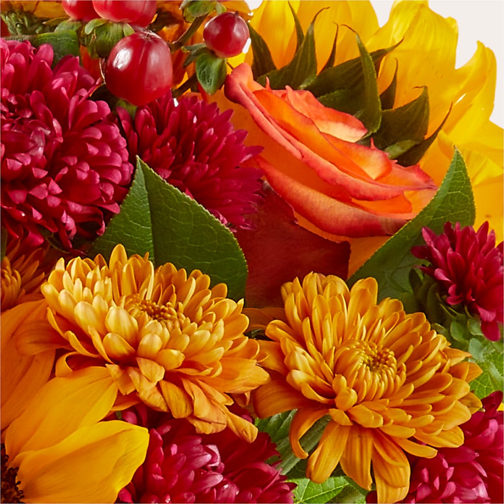Sweater Season - A Florist Original – Katarina Floral, Hackettstown NJ
