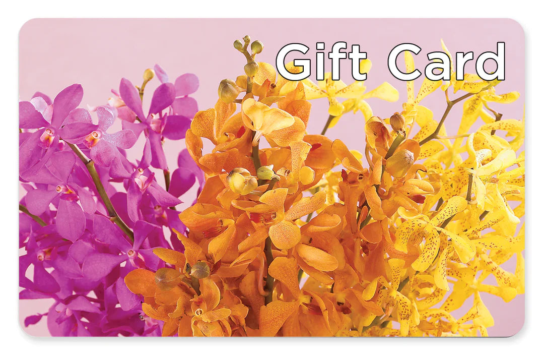 Gift Card – Katarina Floral, Hackettstown NJ