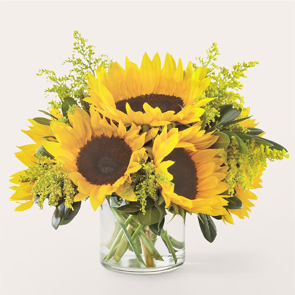 Beaming Sunflower Bouquet – Katarina Floral, Hackettstown NJ