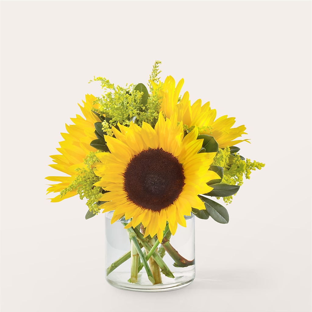 Beaming Sunflower Bouquet – Katarina Floral, Hackettstown NJ