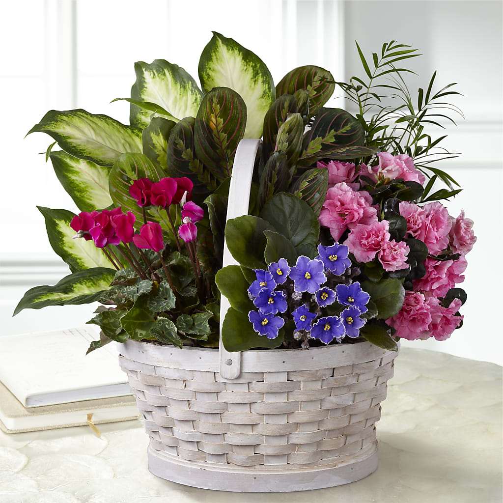 Peaceful Garden Planter – Katarina Floral, Hackettstown NJ