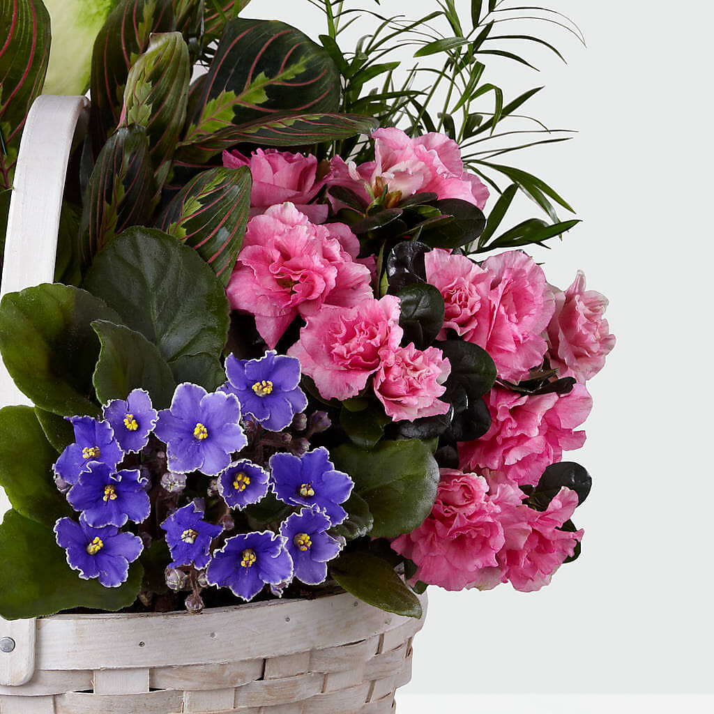 Peaceful Garden Planter – Katarina Floral, Hackettstown NJ