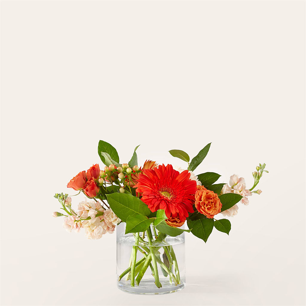 Paloma Please Bouquet – Katarina Floral, Hackettstown NJ