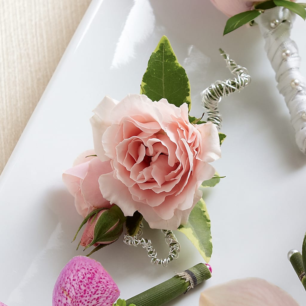 Pink Spray Rose Boutonniere – Katarina Floral, Hackettstown NJ