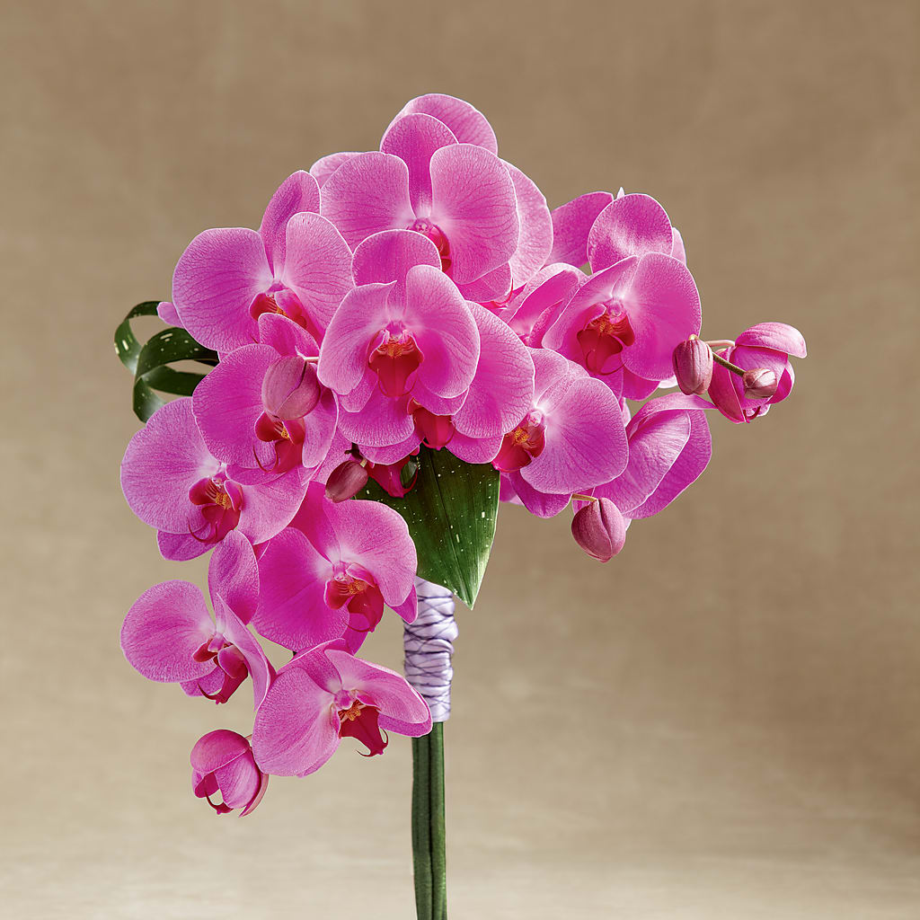 Glorious Bouquet – Katarina Floral, Hackettstown NJ