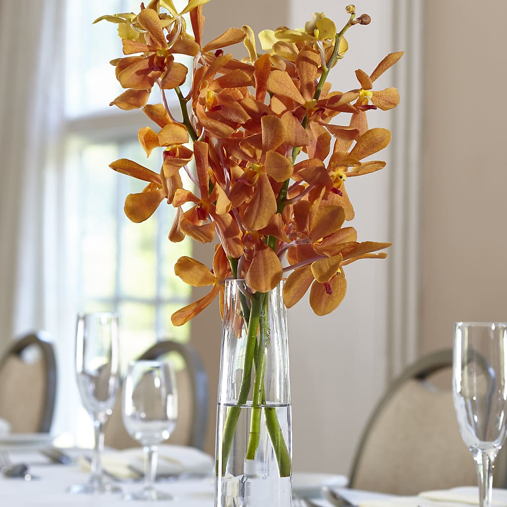 Orange Mokara Bud Vase – Katarina Floral, Hackettstown NJ