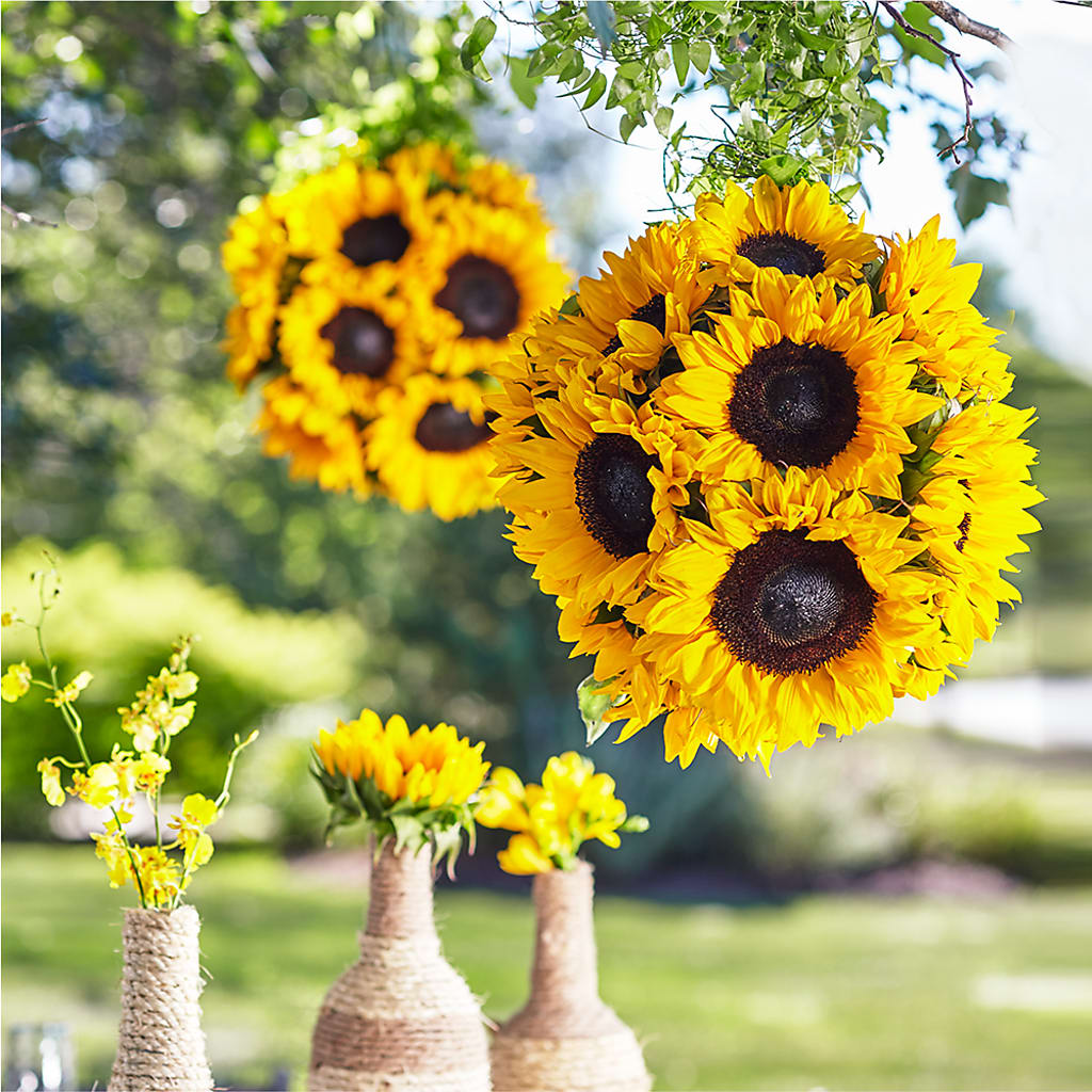 Sublime Garden Hanging Arrangement – Katarina Floral, Hackettstown NJ