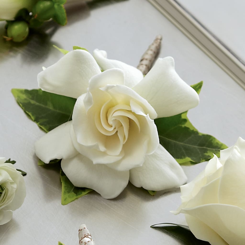 Gardenia Boutonniere – Katarina Floral, Hackettstown NJ