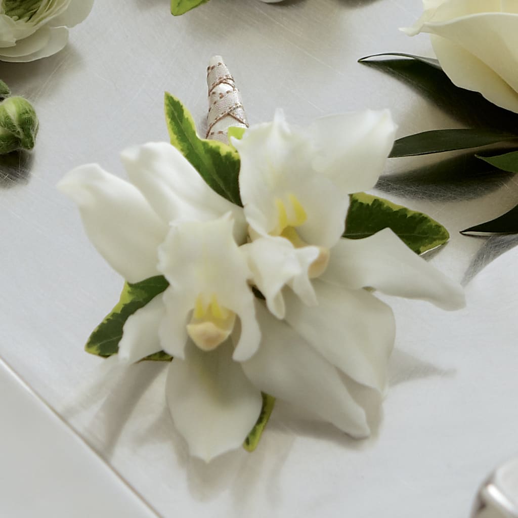 White Mini Cymbidium Boutonniere – Katarina Floral, Hackettstown NJ