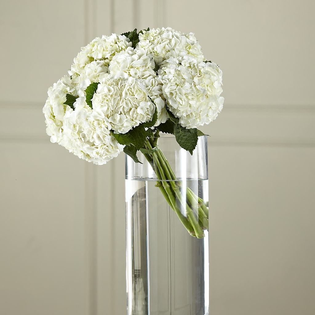 White Hydrangea Hand-Tied Bouquet – Katarina Floral, Hackettstown NJ