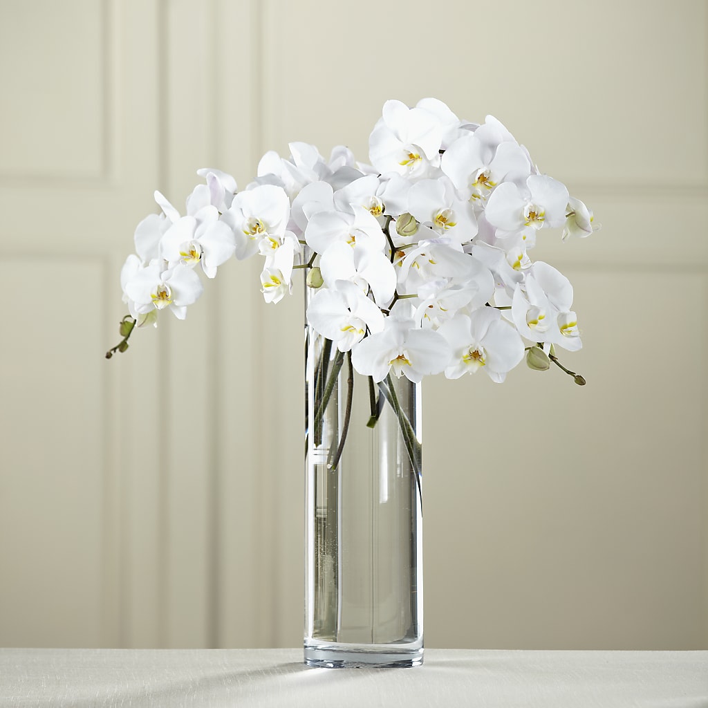 White Phalaenopsis Bouquet – Katarina Floral, Hackettstown NJ