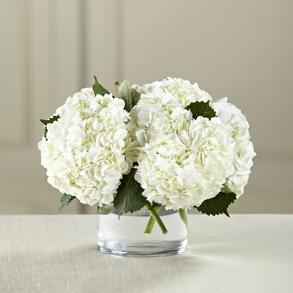 White Hydrangea Bouquet – Katarina Floral, Hackettstown NJ
