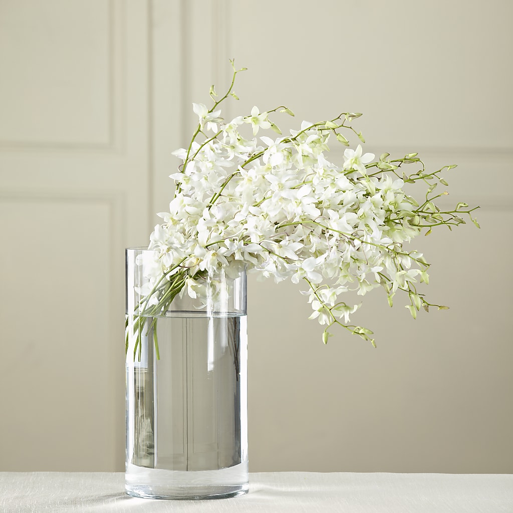 White Dendrobium Bouquet – Katarina Floral, Hackettstown NJ