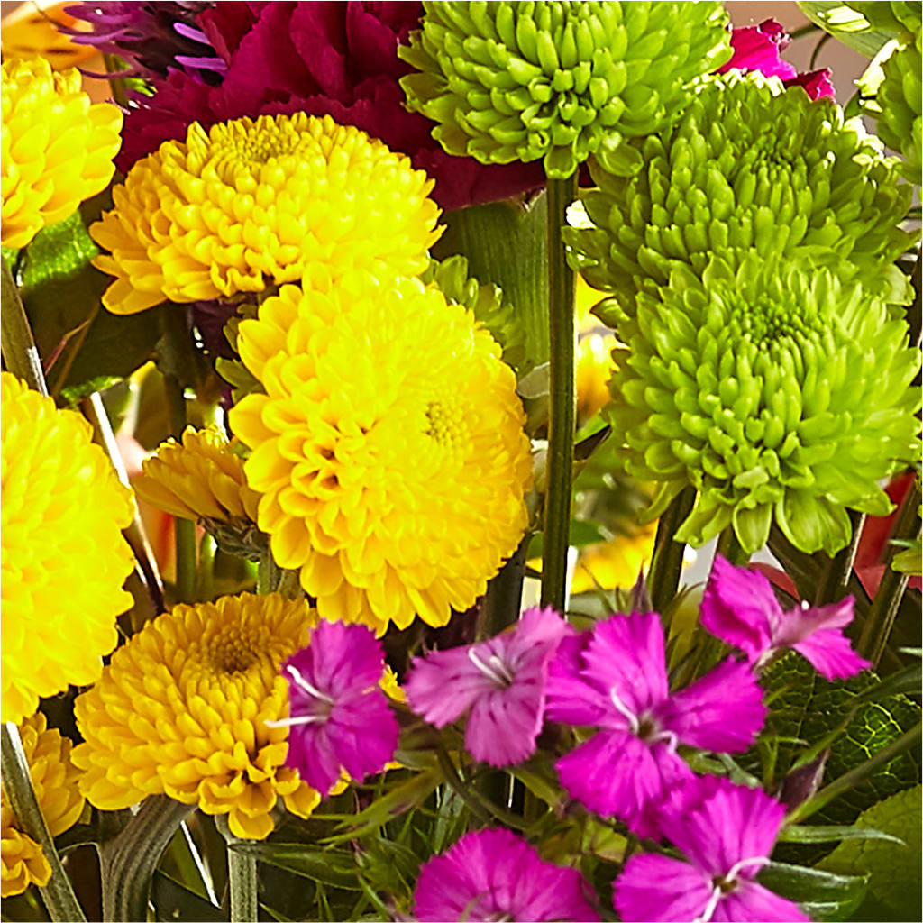 Bold & Bright – A Florist Original –  Katarina Floral, Hackettstown NJ