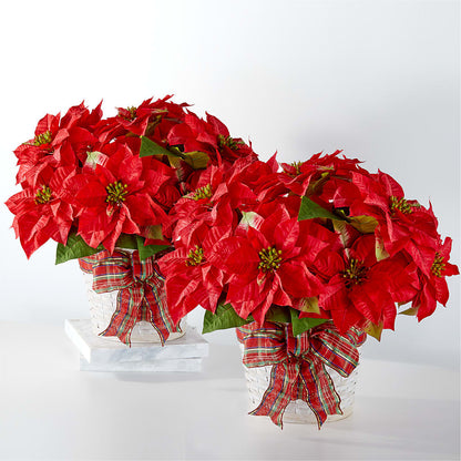 Happiest Holidays Poinsettia Bundle –  Katarina Floral, Hackettstown NJ