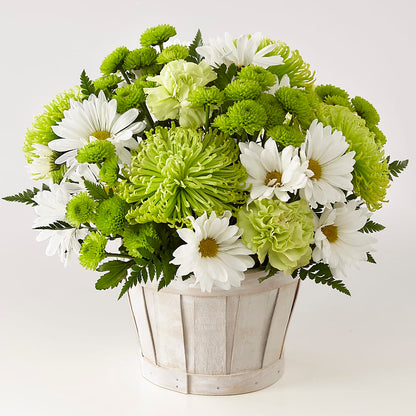 Lucky Charm Basket (Standard) –  Katarina Floral, Hackettstown NJ