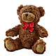 Adorable Plush Bear –  Katarina Floral, Hackettstown NJ