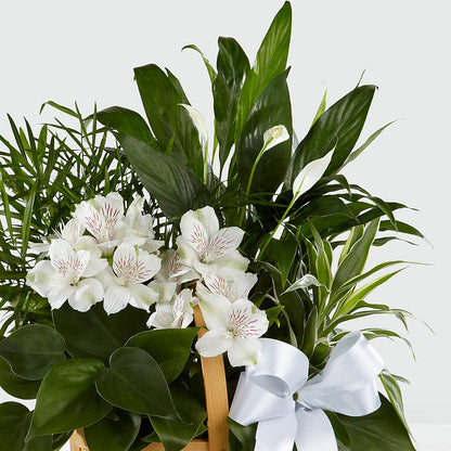 Peace & Serenity Dishgarden –  Katarina Floral, Hackettstown NJ