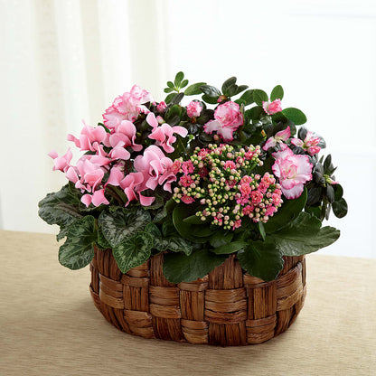 Pink Assortment –  Katarina Floral, Hackettstown NJ
