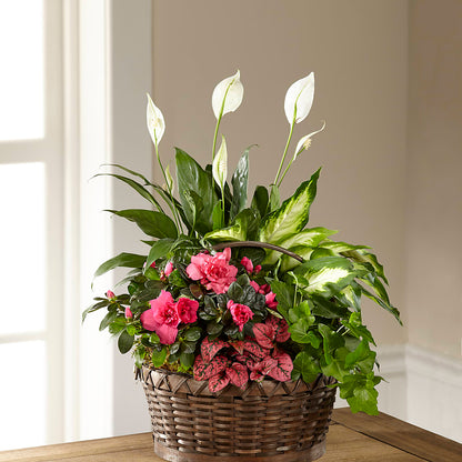 Dream in Pink Dishgarden –  Katarina Floral, Hackettstown NJ