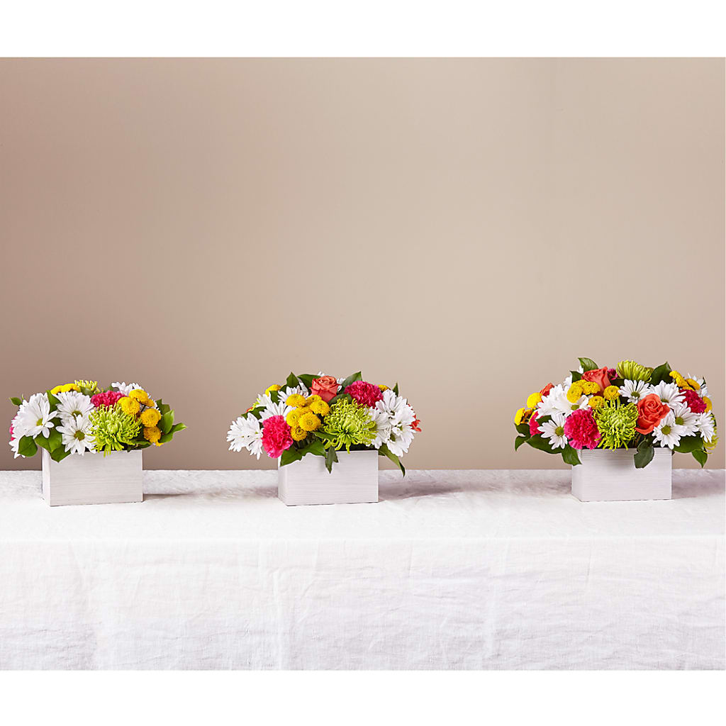 Sorbet Bouquet –  Katarina Floral, Hackettstown NJ
