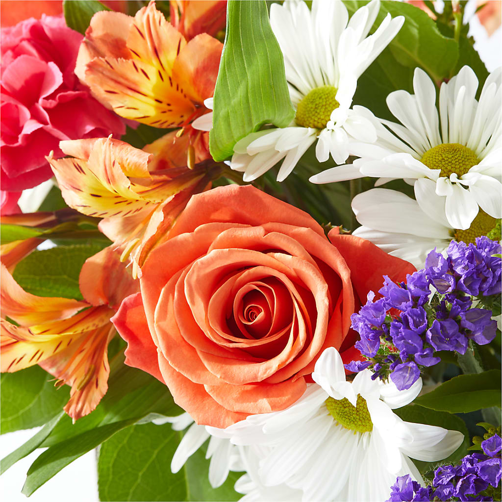 Oopsie Daisy Box Bouquet –  Katarina Floral, Hackettstown NJ