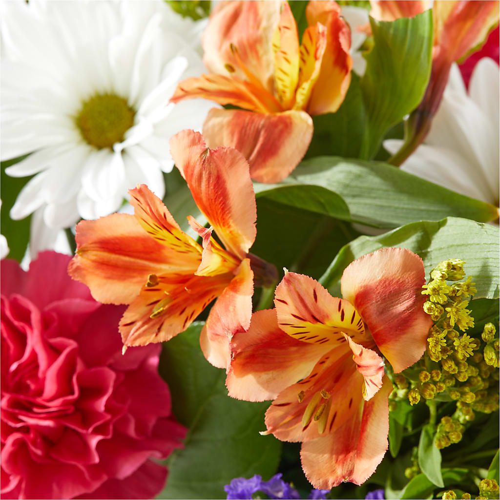 Oopsie Daisy Box Bouquet –  Katarina Floral, Hackettstown NJ