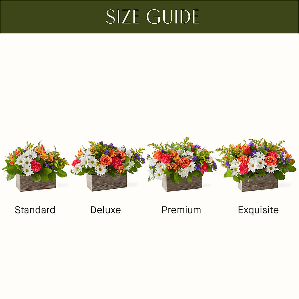 Oopsie Daisy Box Bouquet –  Katarina Floral, Hackettstown NJ