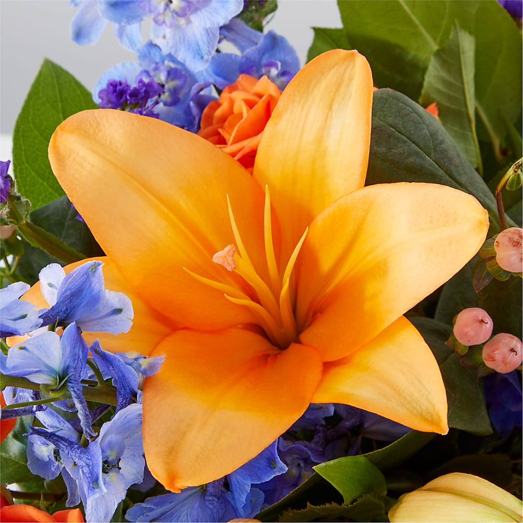 Radiant Citrus Box Bouquet –  Katarina Floral, Hackettstown NJ