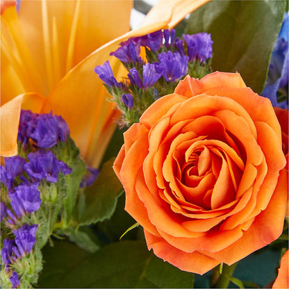 Radiant Citrus Box Bouquet –  Katarina Floral, Hackettstown NJ