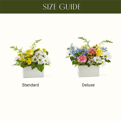 Sun Salutation Box Bouquet –  Katarina Floral, Hackettstown NJ