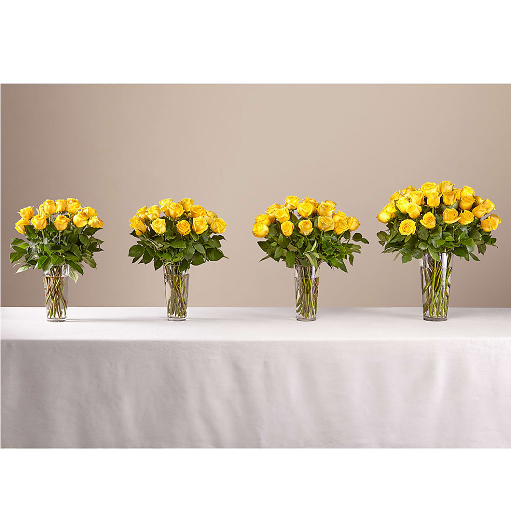 Long Stem Yellow Rose Bouquet –  Katarina Floral, Hackettstown NJ