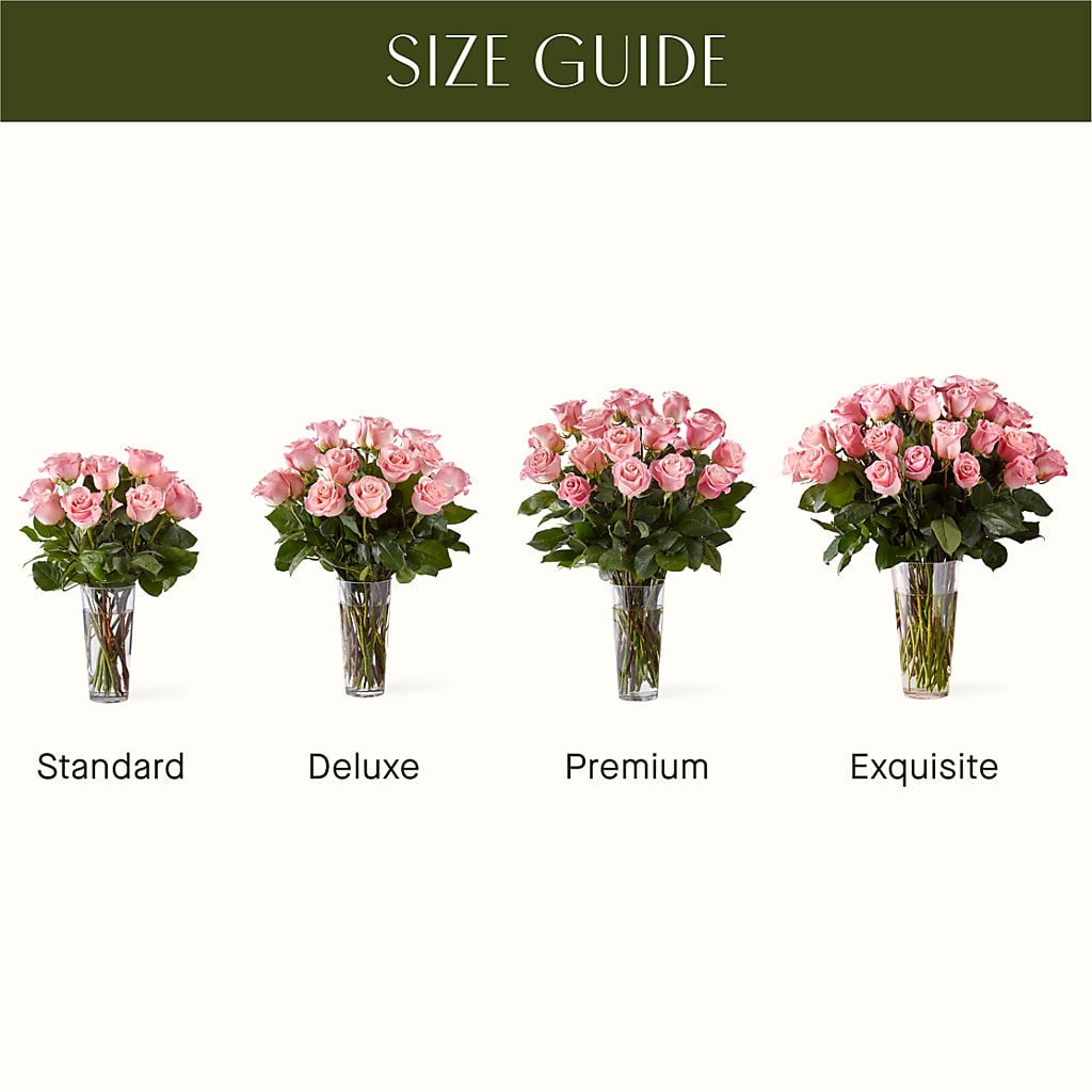 Long Stem Pink Rose Bouquet –  Katarina Floral, Hackettstown NJ