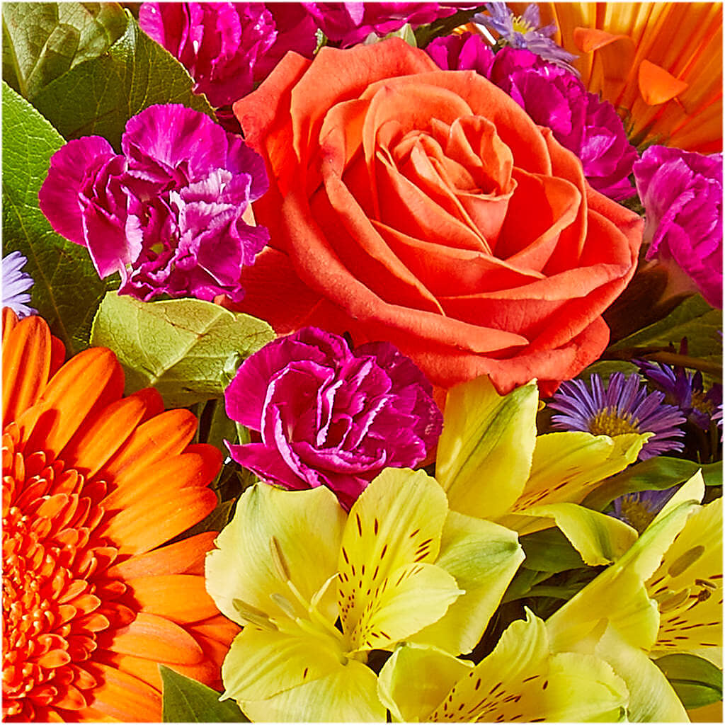 Tricks & Treats Pumpkin –  Katarina Floral, Hackettstown NJ
