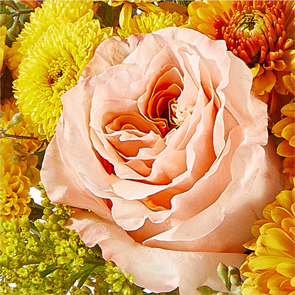 Peachy Pumpkin –  Katarina Floral, Hackettstown NJ