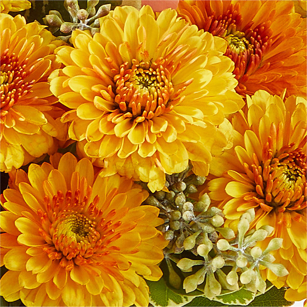 Peachy Pumpkin –  Katarina Floral, Hackettstown NJ