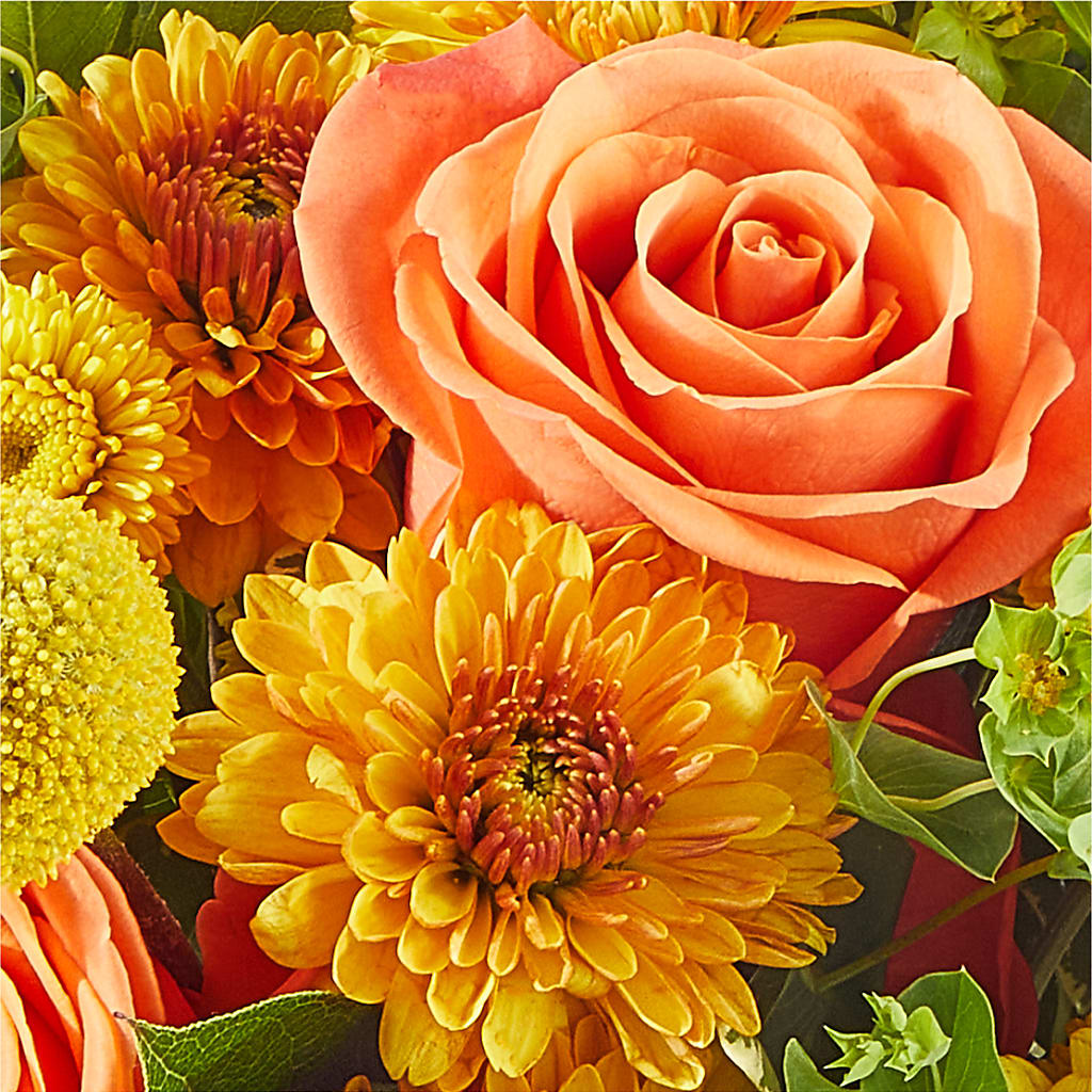 Gourdgeous Pumpkin –  Katarina Floral, Hackettstown NJ