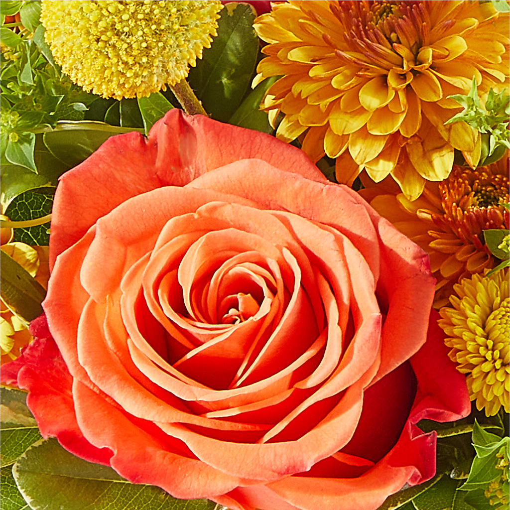 Gourdgeous Pumpkin –  Katarina Floral, Hackettstown NJ