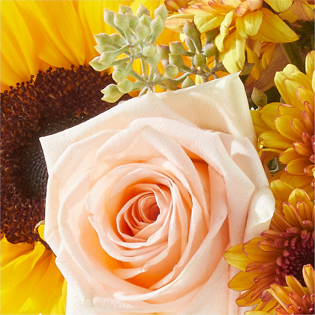 Pumpkin to Talk About Bouquet –  Katarina Floral, Hackettstown NJ