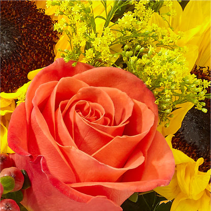 Pick of the Patch Pumpkin Bouquet –  Katarina Floral, Hackettstown NJ