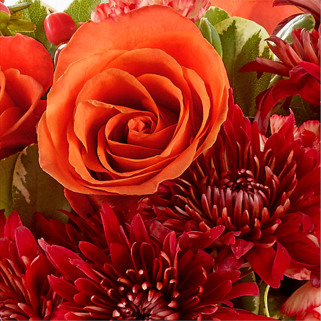 Autumn Air Pumpkin Bouquet –  Katarina Floral, Hackettstown NJ