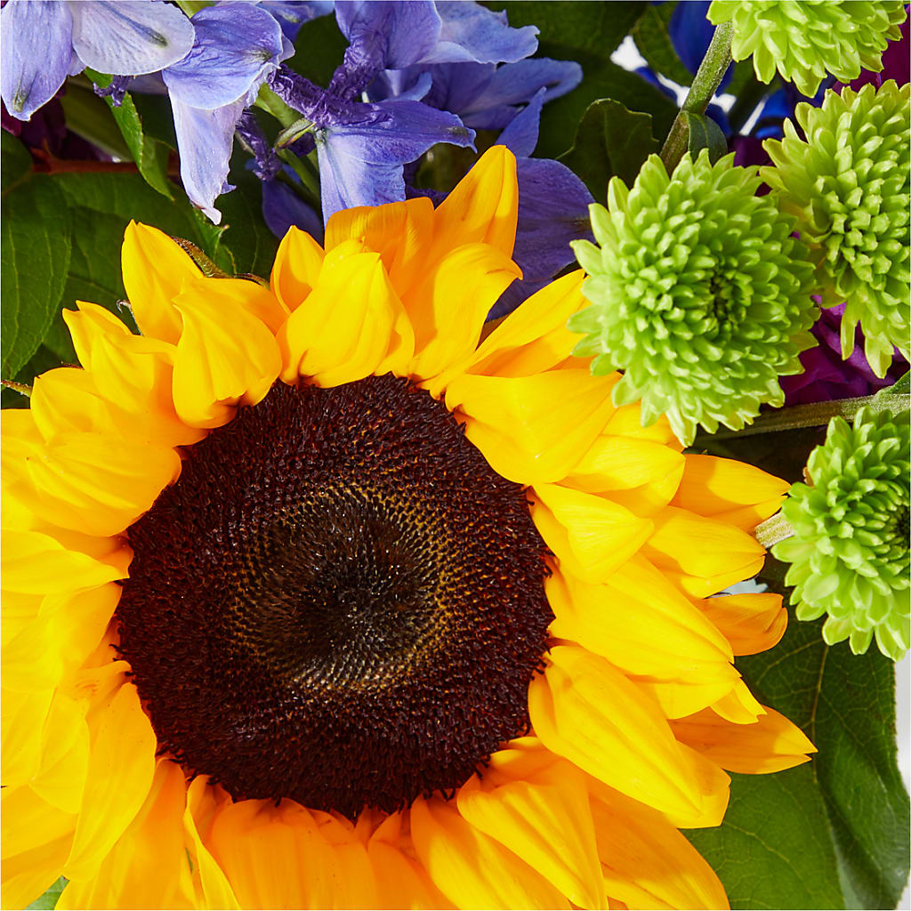 Catching Rays Bouquet –  Katarina Floral, Hackettstown NJ