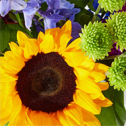 Catching Rays Bouquet –  Katarina Floral, Hackettstown NJ