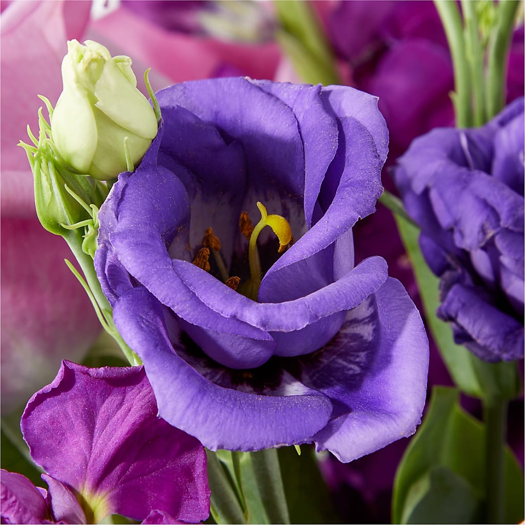 Twilight Glow Bouquet –  Katarina Floral, Hackettstown NJ